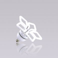 Special shaped CFL